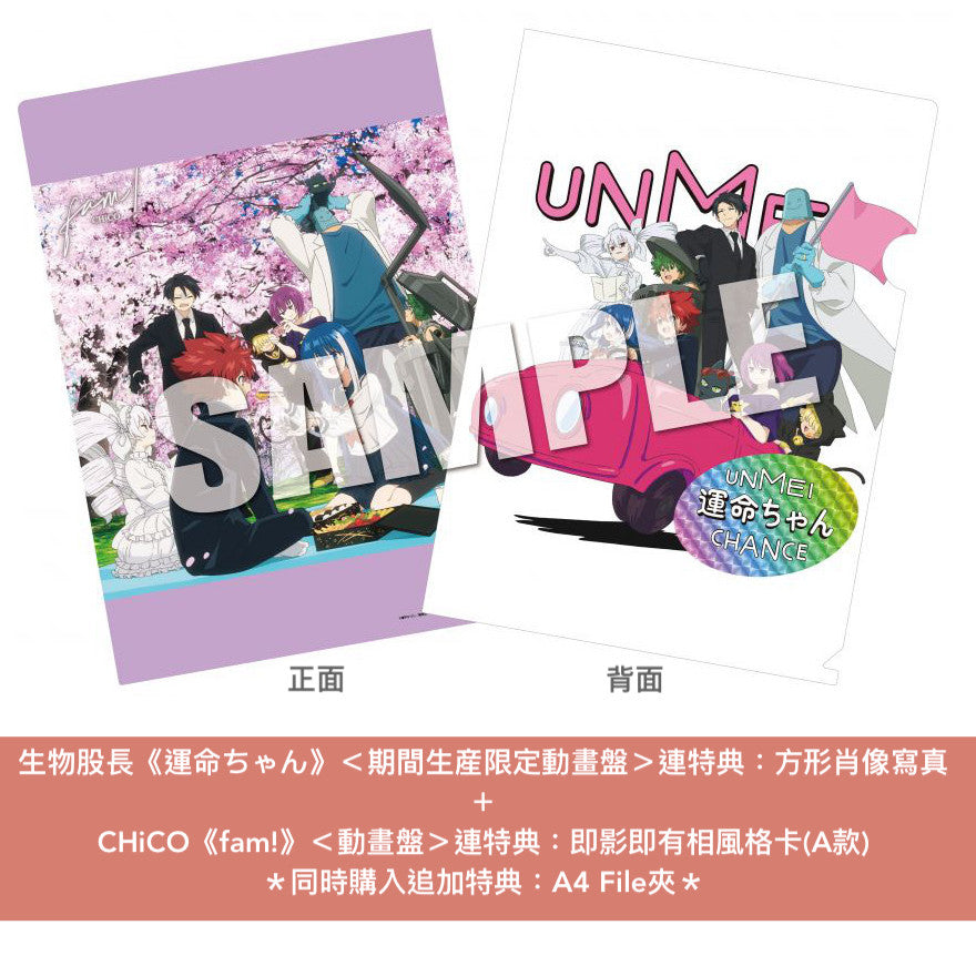 CHiCO 第2張單曲CD《fam!》動畫「夜櫻家大作戰」片尾曲 ＜CHiCO盤(CD)／動畫盤(CD＋Blu-ray)＞