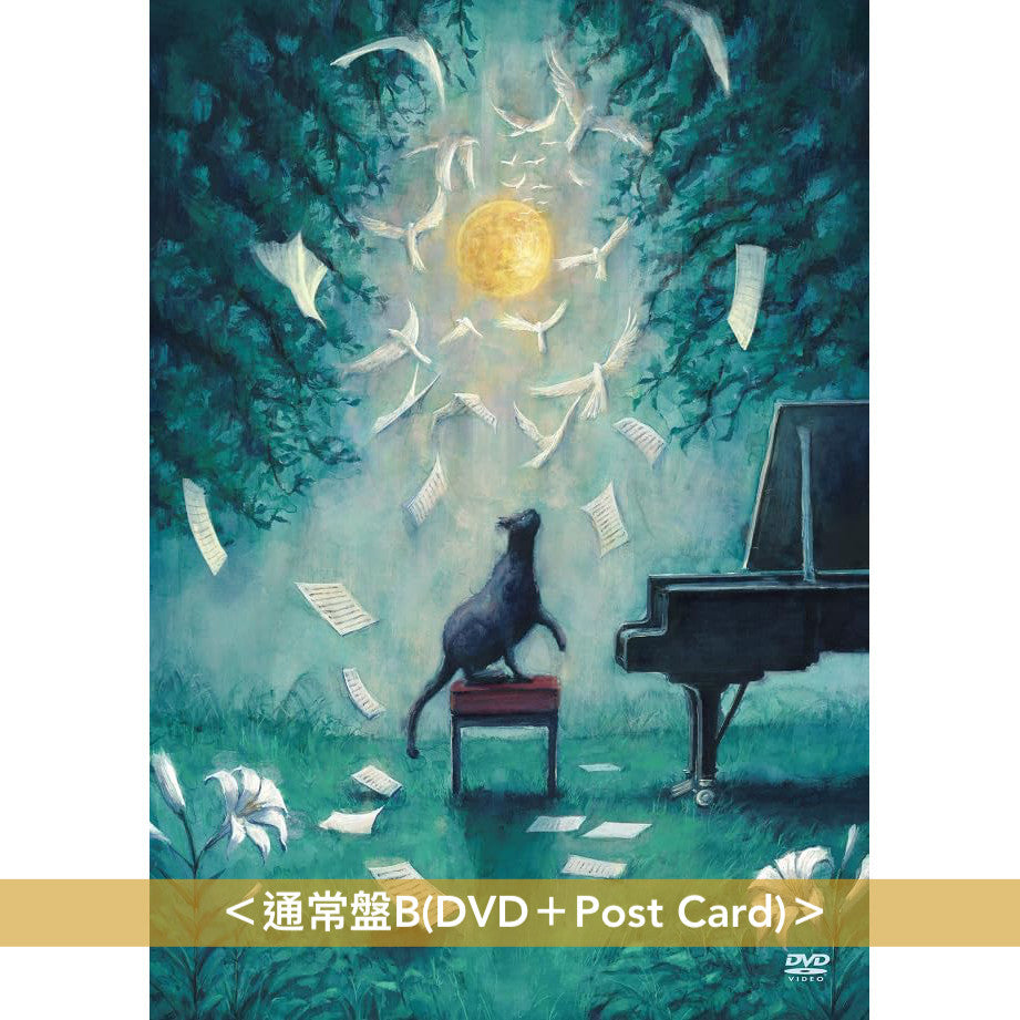 ヨルシカ(Yorushika) 最新 Live Blu-ray/DVD《ヨルシカ LIVE「月と猫のダンス」》＜初回限定盤(Blu-ray/DVD＋Post Card＋小冊子＋朗讀劇劇本)／通常盤(Blu-ray/DVD＋Post Card)＞＊中英日韓文字幕＊