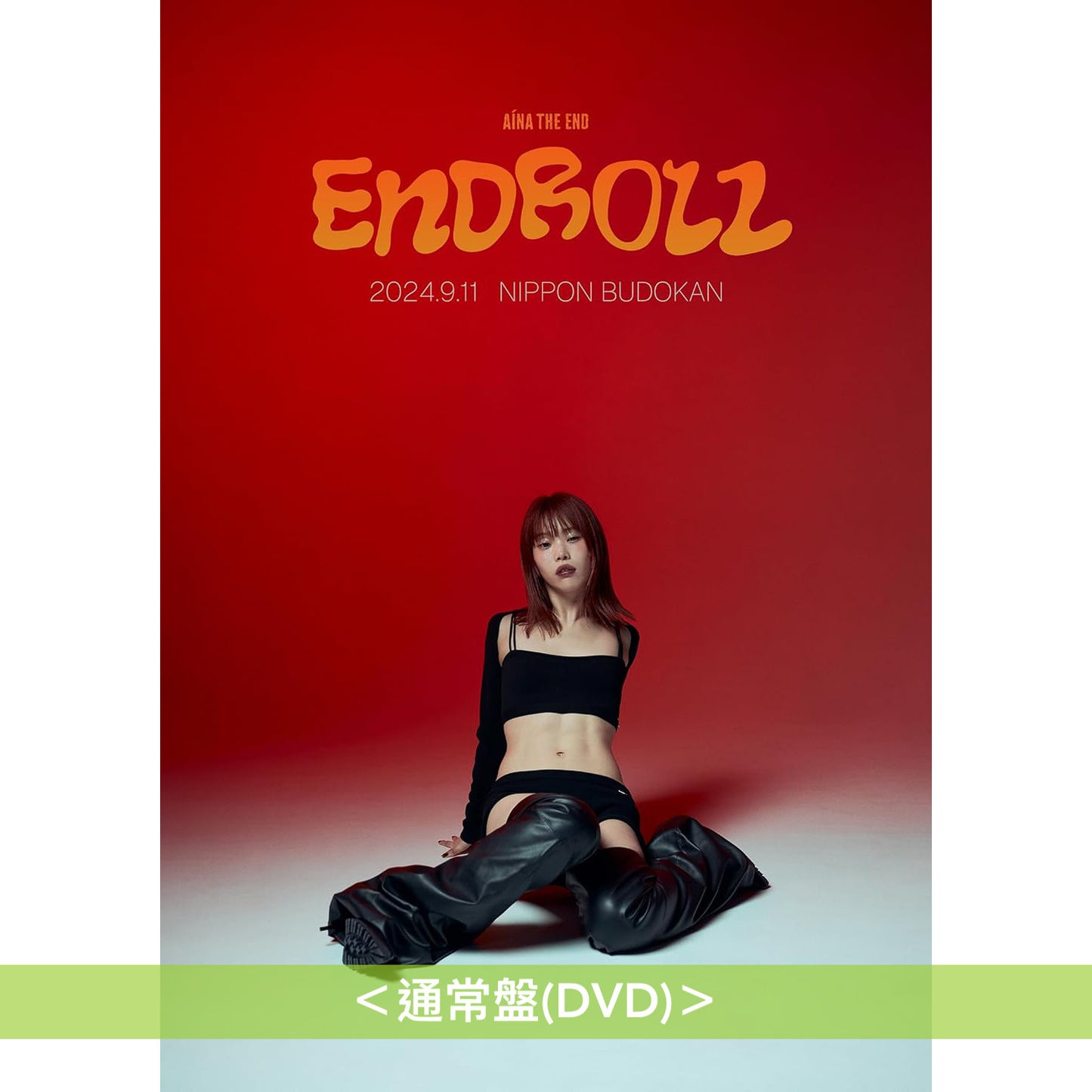 AiNA THE END 首次日本武道館Live Blu-ray/DVD《AiNA THE END ”ENDROLL”》＜初回生産限定盤(2Blu-ray＋Photo Book)／通常盤(DVD)＞