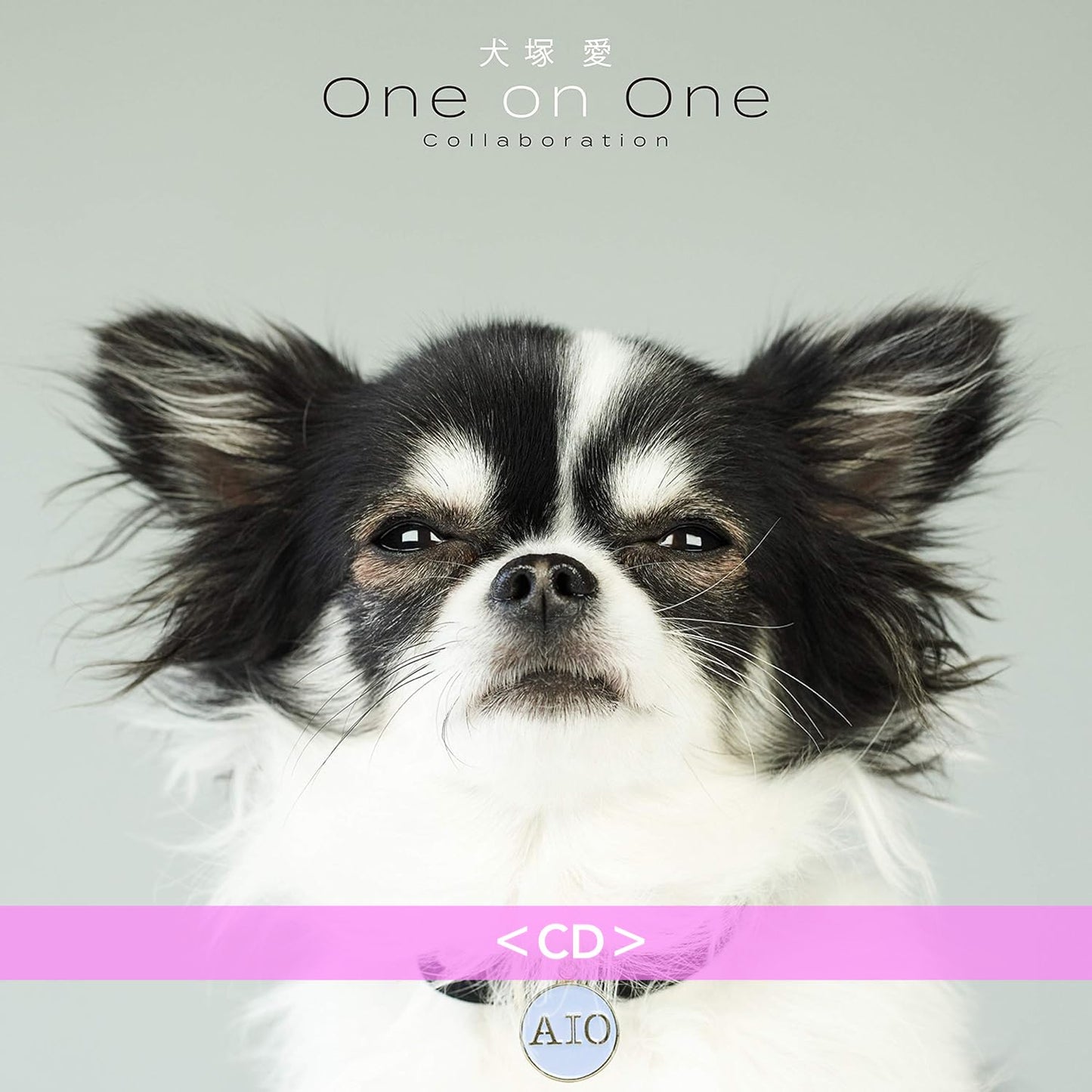 大塚愛 混音專輯《犬塚愛 One on One Collaboration》＜黑膠(LP)／CD＞