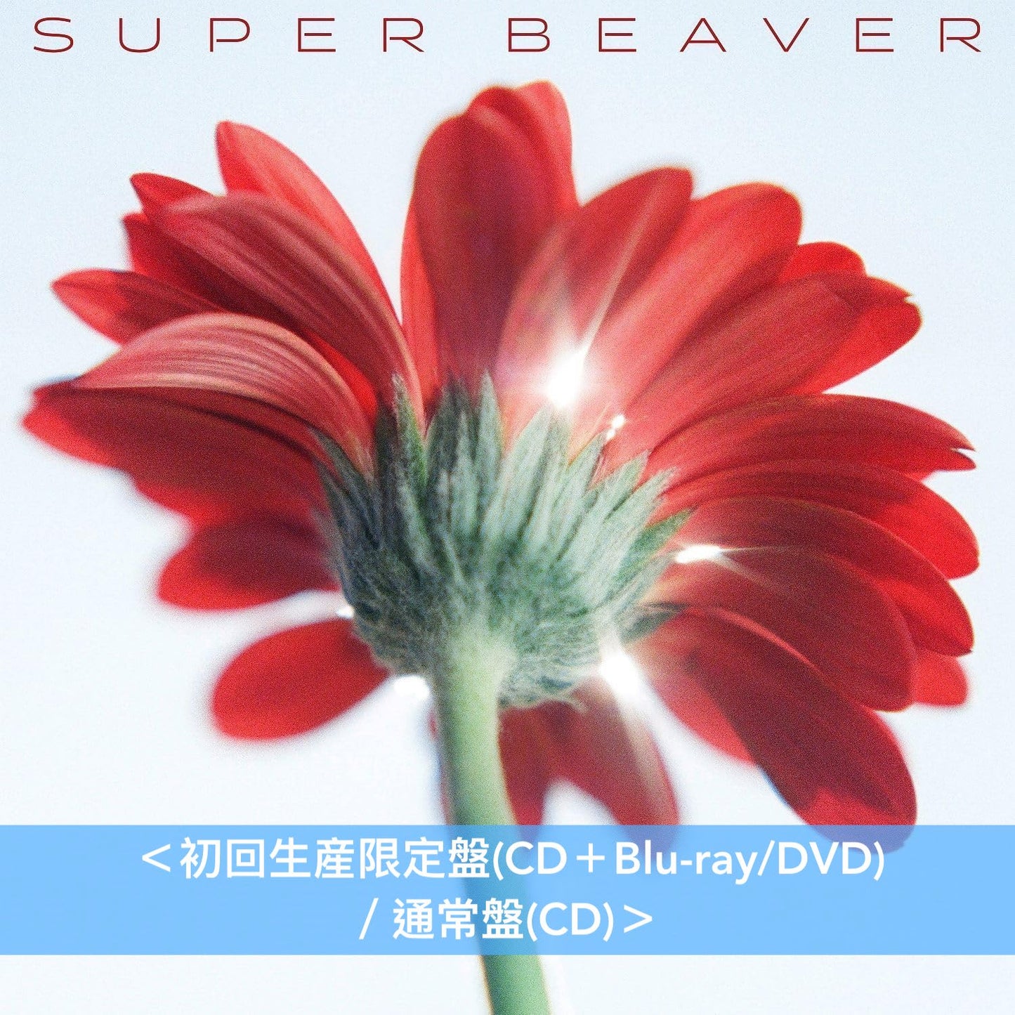 SUPER BEAVER 最新單曲CD《片想い / 涙の正体》日劇「香草日常」主題曲 ＜初回生産限定盤(CD＋Blu-ray/DVD)／通常盤(CD)＞